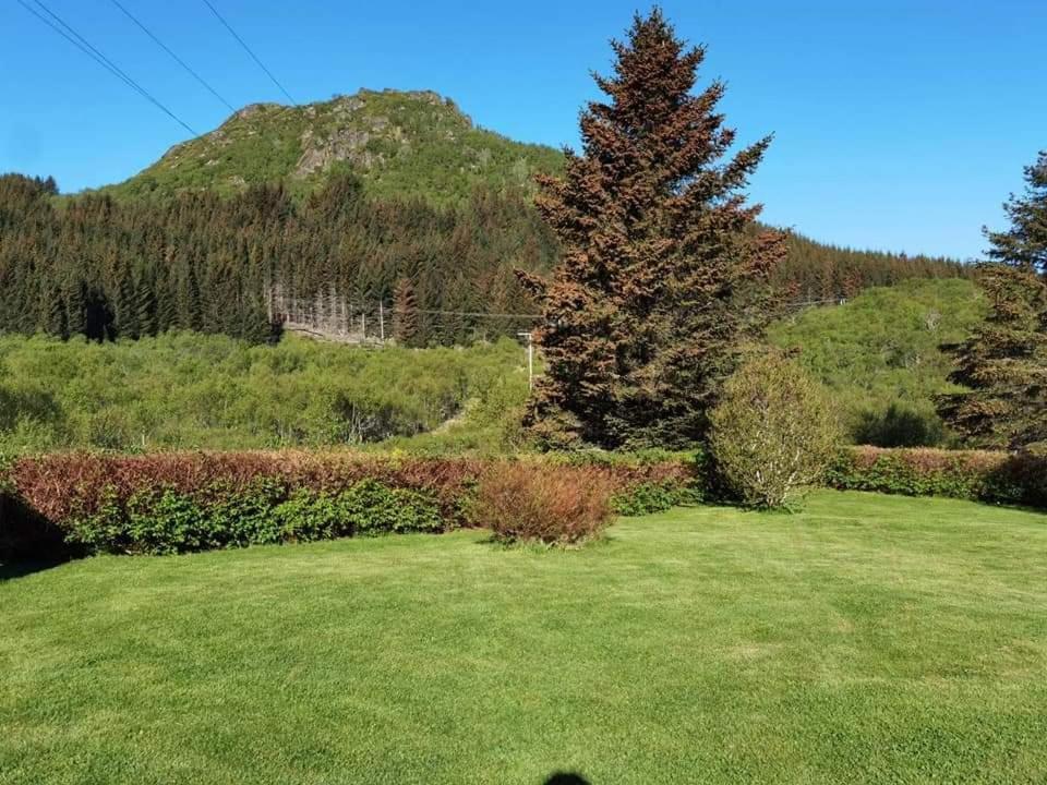 Banpim hillside Lofoten Gravdal  Eksteriør bilde