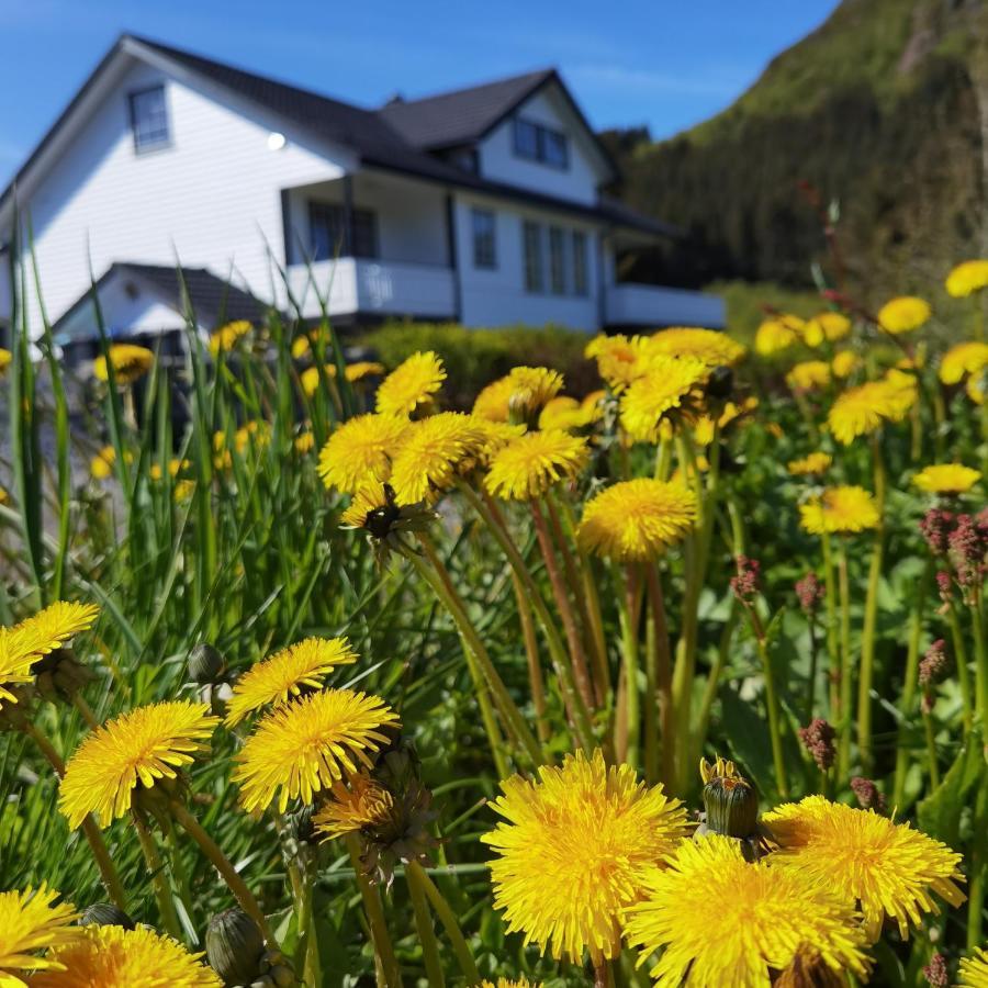 Banpim hillside Lofoten Gravdal  Eksteriør bilde